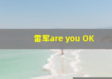 雷军are you OK